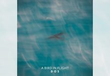 Musica “A bird in flight” è il nuovo singolo di DOS Duo Onirico Sonoro