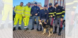 Calabria: Anas e Polizia Stradale salvano cane vagante su strada