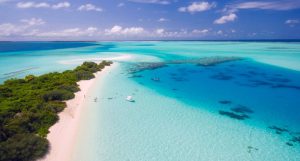 Nel 2023 nuovo record per la temperatura dell'oceano
