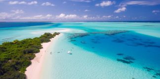 Nel 2023 nuovo record per la temperatura dell’oceano Nel 2023 nuovo record per la temperatura dell'oceano