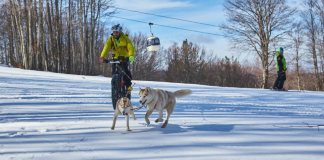 Al via la VIII edizione di “Sila3Vette” Al via la VIII edizione di "Sila3Vette"