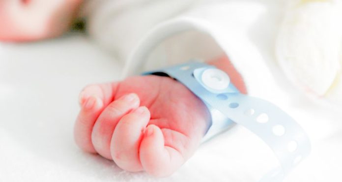 Sta bene il neonato abbandonato in un cassonetto dei rifiuti nel Torinese