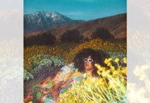 Brittany Howard con “What Now”: una delizia per gli amanti del soul Brittany Howard con What Now una delizia per gli amanti del soul