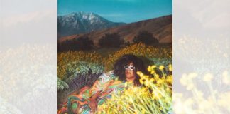 Brittany Howard con “What Now”: una delizia per gli amanti del soul Brittany Howard con What Now una delizia per gli amanti del soul