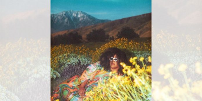 Brittany Howard con What Now una delizia per gli amanti del soul