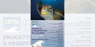 Ambiente Mare Italia (AMI): presentazione della delegazione Cosenza-Tropea