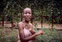 Classica Orchestra Afrobeat: online il video di “Ka Munu Munu” feat. Rokia Traore