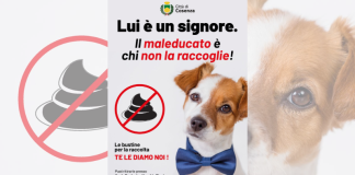 Cosenza, campagna di sensibilizzazione sull’importanza di raccogliere le deiezioni canine Cosenza, campagna di sensibilizzazione sull'importanza di raccogliere le deiezioni canine