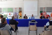 Castrovillari: arriva Agrintesa, colosso cooperativo in cui si fonde OSAS