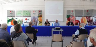 Castrovillari: arriva Agrintesa, colosso cooperativo in cui si fonde OSAS