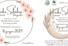 La poesia giapponese Haiku in Sila a Camigliatello