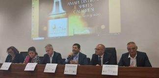 “Spirito Mediterraneo”, a Fuscaldo la rassegna sugli amari calabresi