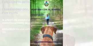 Il Comune di Mendicino promuove una campagna di sensibilizzazione contro l’abbandono degli animali domestici