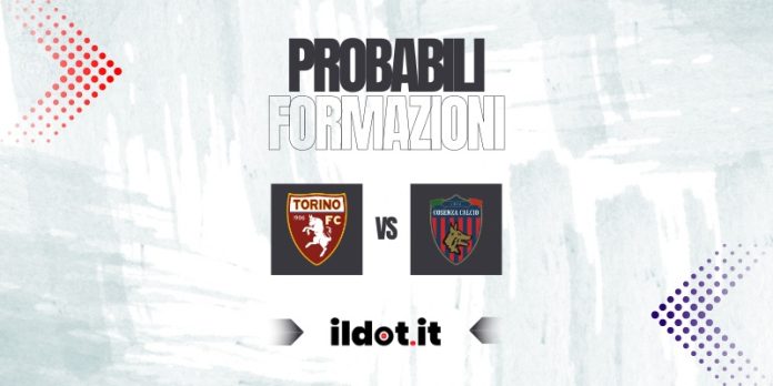 Probabili formazioni Torino-Cosenza