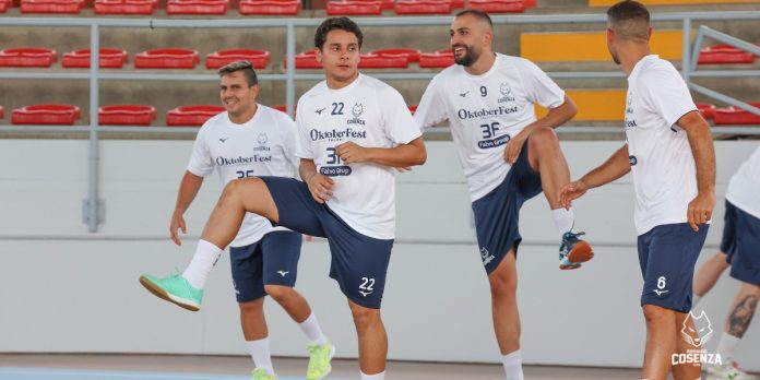 I lupi durante una seduta di allenamento (foto Michele De Marco)