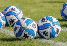 Serie B: ufficiali le date dei playout tra Sampdoria e Salernitana Serie B (foto Francesco Farina)