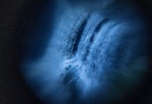 L’arte di Salvatore Insana in mostra alla biblioteca “Antonio Renda” di Taurianova