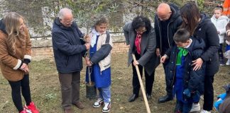 Il Consorzio Olio di Calabria mette a dimora tanti alberi nelle scuole di Casali del Manco