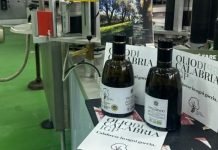 Olio di Calabria Igp: quarta tappa del Consorzio per i giorni dell’olio evo experience