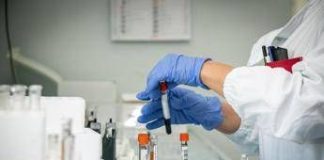 Echinococcosi alveolare, in Europa 4.200 casi: cos’è e da cosa deriva