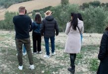 Quinto appuntamento a Tarsia con “I giorni dell’Olio Evo Experience” ed il Consorzio