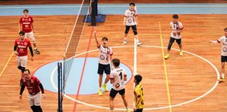 Volley, Coppa Calabria: vittoria e primato per l’Area Brutia Vittoria per l'Area Brutia Volley