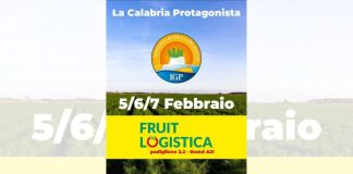 Il Finocchio IGP di Isola Capo Rizzuto presente a Berlino per l’importante fiera Fruit Logistica