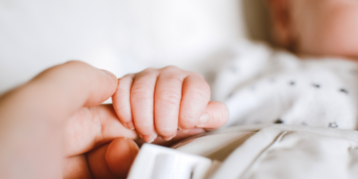 Cosenza, inaugurata la prima "Culla per la vita" della Calabria