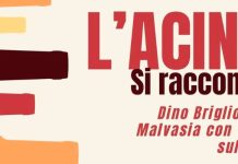 Incontri con i vignaioli: il 27 marzo a Cosenza Dino Briglio racconterà dell’Acino