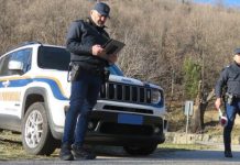 Lotta ai lavori abusivi in Sila, denunce e sanzioni della Polizia Provinciale