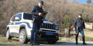 Lotta ai lavori abusivi in Sila, denunce e sanzioni della Polizia Provinciale