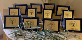 Al via la IV edizione del “Premio Oleario San Vincenzo La Costa” Al via la IV edizione del premio oleario San Vincenzo La Costa
