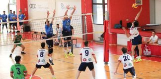 Volley, Serie C: la New Tech conquista il derby contro l’Area Brutia e tiene vivi i suoi sogni di gloria La New Tech vince il derby