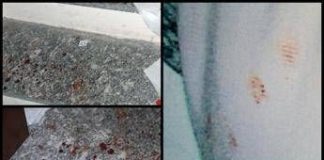 Garlasco, la dinamica dell’omicidio di Chiara Poggi: “L’assassino non scende le scale”