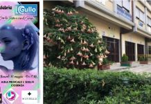 “Io, donna di Calabria”, a Cosenza l’assegnazione del Premio cultura 2025