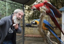 Palermo, rubati due pappagalli dal rifugio dei gatti