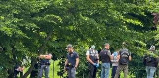 Parma, feto ritrovato sul marciapiede: indaga la polizia scientifica