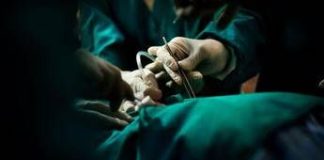 Trapianto eccezionale a Palermo, 77enne dona il rene alla figlia