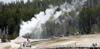 Usa, parchi più cari per gli stranieri: Trump firma ordine esecutivo