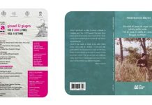 Cosenza con il Festival Internazionale di poesia. Tra gli ospiti Pierfranco Bruni
