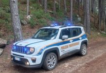 Si perde nei boschi della Sila, ritrovato dalla Polizia Provinciale in breve tempo