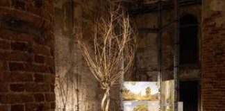 Sostenibilità, Gruppo Saviola: Pannelli Ecologici per Triennale Milano e Biennale Architettura