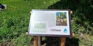 Farmaceutica, Stefano Mecchia (Chiesi Italia): “Nel Sentiero del Respiro salute e sviluppo sostenibile”