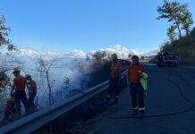 Incendi Valle dell’Esaro, Borrelli (IDM): “Un grido d’allarme e un impegno per il nostro territorio” Incendi nella Valle dell'Esaro, Borrelli Vincenzo (IDM) Un Grido d'Allarme e un Impegno per il Nostro Territorio