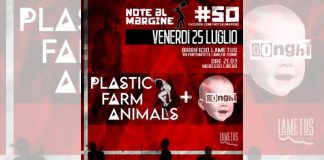 “Note al margine”, la musica indipendente fa tappa a Lamezia Terme Note al margine Lamezia Terme