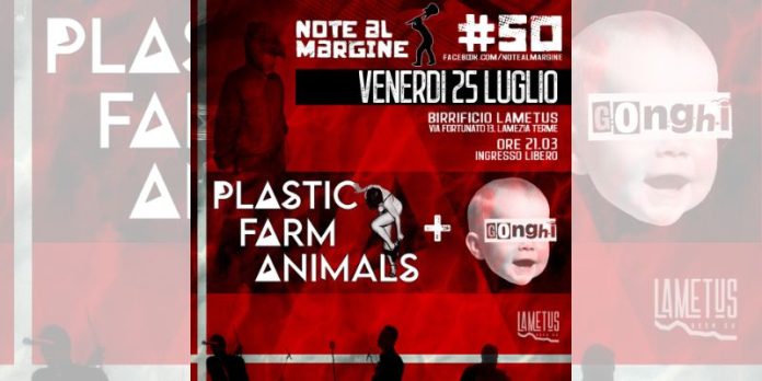 Note al margine Lamezia Terme
