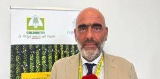 Tabacco, Bellelli (Coldiretti Campania): “Accordi di filiera fondamentali per redditività, ambiente e giovani agricoltori’