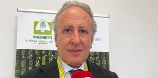 Tabacco, Lorito (Federico II): “La filiera integrata è la chiave per i territori, i giovani e il rilancio dell’agricoltura”