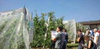 Bonus agricoltori, al via da oggi le domande: a chi spetta e come funziona