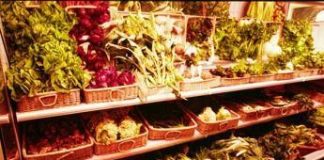 Come far mangiare più verdure ai ragazzi? Il segreto è nella gentilezza